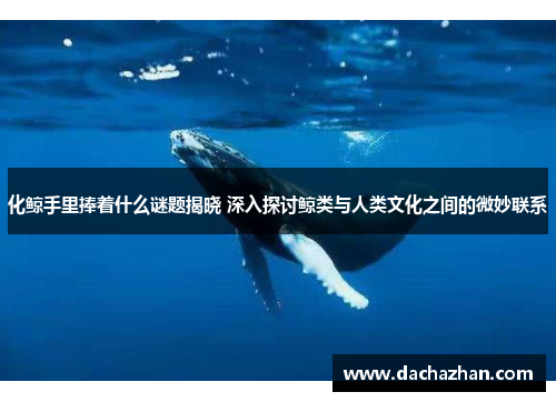 化鲸手里捧着什么谜题揭晓 深入探讨鲸类与人类文化之间的微妙联系