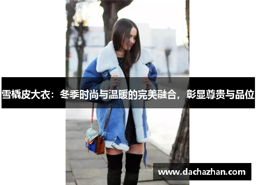雪橇皮大衣：冬季时尚与温暖的完美融合，彰显尊贵与品位